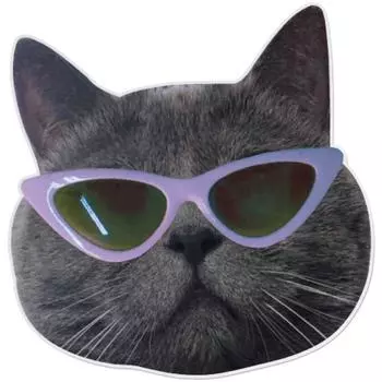 Coquad 9C9C Kitsch Kat акриловая трава, фиолетовые очки кот, 1 шт.