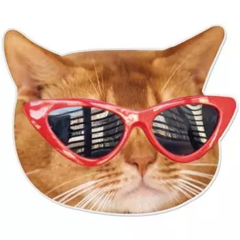 Coquad 9C9C Kitsch Kat акриловый травяной тальк, кот в красных очках, 1 шт.
