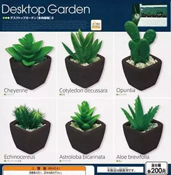 CoroColle Desktop Garden 2 Набор из 6 видов Gacha Gacha [Суккуленты]