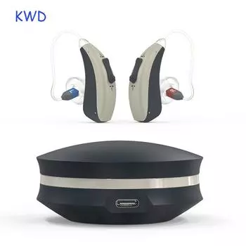 CR435s перезаряжаемый слуховой аппарат RIC для Deafness105Db усилитель звука медицинский Audifonos светодиодный дисплей слуховые аппараты s чёрный