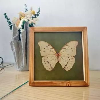 Creative Butterfly Specimen Photo Frame Personalized Picture Frame Picture Storage зелёный