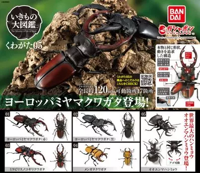 Creature Encyclopedia Kuwagata 05 x All 5 Types Set Full Comp Gacha Gacha Capsule Toy