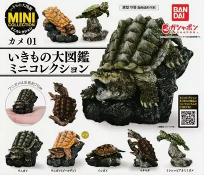 Creature Encyclopedia Mini Collection Turtle 01 x All 5 Types Set Full Comp Gacha Gacha Capsule Toy