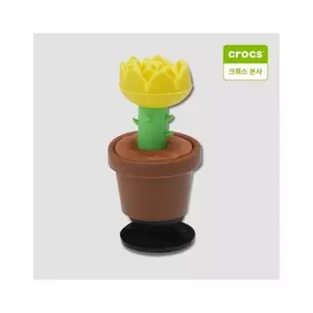 Crocs 3D Желтая Роза Гиббитс Шарм 10013863 onefree