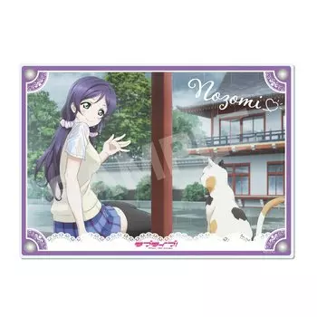 CS.FRONT Love Live G Тодзё Нозоми Акриловая доска 208 x 147,5 мм АкрилЖелезо CS0000-4069