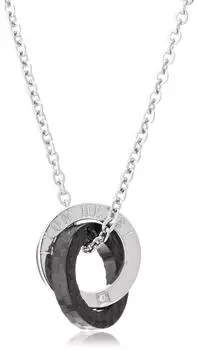 Cubic Zirconia Stainless Steel Necklace 04N135SM [Lion Heart] (CZ)