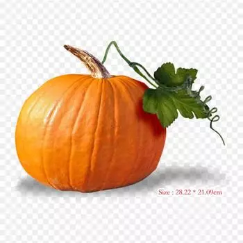 Cucurbita Clip Art Термопереносная печать виниловые нашивки наклейки для одежды аппликации своими руками моющиеся нашивки
