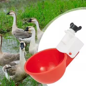 Cups Chicken Waterer All Poultry Automatic Chicken Drinker Chicken Duck Quail PC Poultry Drinker Red Watering Cups