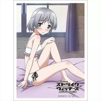 Curtain Spirit 501st Joint Fighter Wing Strike Witches ROAD to BERLIN Sleeve Sanya Litvyak Standard Size W67 x H92mm 1 set 65 pieces Made of PP V.