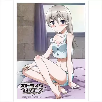 Curtain Spirits 501st Joint Fighter Wing Strike Witches ROAD to BERLIN Sleeve Eira Ilmatar Utilainen Standard Size W67 x H92mm 1 set 65 pieces Made of