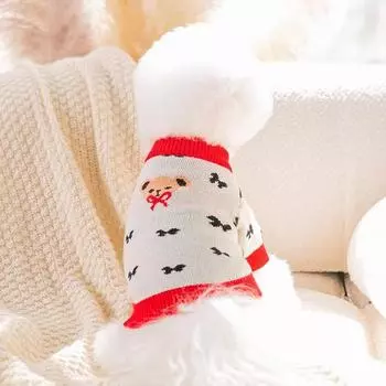 Cute bear autumn and winter two-legged teddy than bear small dog knitted sweater puppy dog cat pet dog clothes XS (recommended weight 1-1.5 kg)