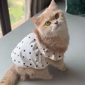 Cute Dog Costume Cat Dresses Thin Shirts Puppy Skirt Dog Vest Bichon Clothing French Bulldog XS