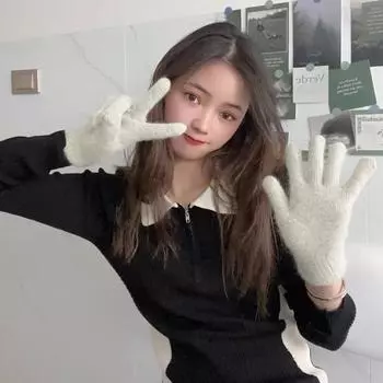 Cute Gloves For Women In Winter Warm And Thickened Windproof And Cold-Proof Wool Ins Couple Students