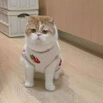 Милый маленький жилет из овечьей шерсти клубники, теплая одежда для кошек и собак, жилет для медведя XS