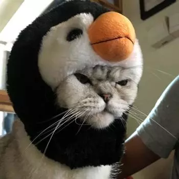 Милая шапка для питомца, приятный для кожи головной убор для кошки, щенка, панды, пингвина, милая дышащая шапка для фестиваля Penguin
