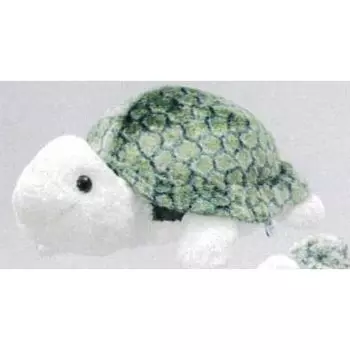 Cute Sales Astra Kame LL Green M0294 H25 x W40 x D50cm