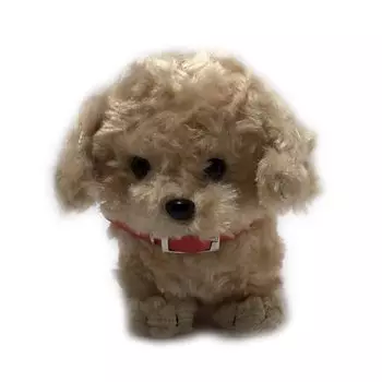 Cute Sales Stuffed Toy Toy Beige D0059 Poinu-chan Pooh-chan