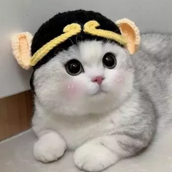 Cute Winter Handmade Elastic Warm Cat Hat Pet Cap Frog Hat for Party Photo Props S-zi bajie