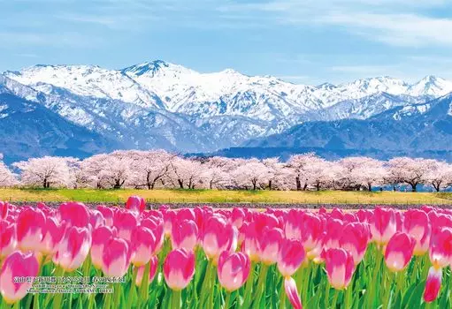 Cuties 300 Piece Jigsaw Puzzle 30 Japanese Cities Shimoshinkawa Toyama Prefecture Funakawa Spring District, Asahi Quartet (26x38cm)