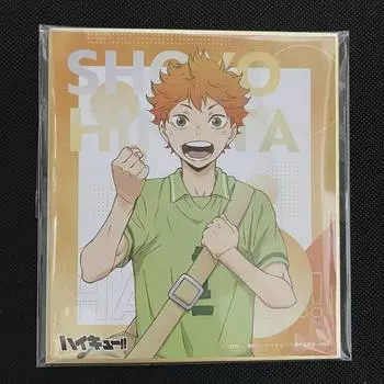 Цветная бумага средней школы Haikyu Hinata Shoyo Yukigaoka