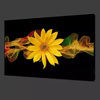 Цветная лента с подсолнухами, картина Canavs, красивый постер с желтыми цветами и принты, настенные художественные картинки для украшения гостиной 20x40cm no frame ауреолин