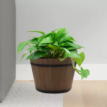 Цветочный горшок, контейнеры для растений, произведения искусства для домашнего декора, ваза, садовая кухня, гостиная 6 Inch