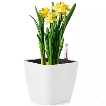 Цветочный горшок с самополивом, горшки для рассады, питомник, автоматическое водопоглощение для внутреннего сада Square S