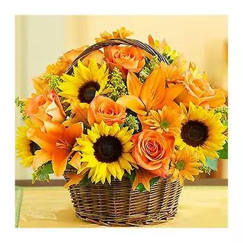 Цветочный набор для алмазной живописи DIY Craft Полный набор для живописи стразами для гостиной, украшения стен дома