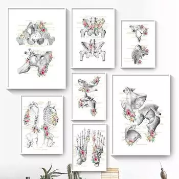 Цветок Анатомия человека Скелет Холст Картина Структура кости Образование Художественный плакат с принтом настенные панно для современного декора больницы A4 21x30cm No Frame