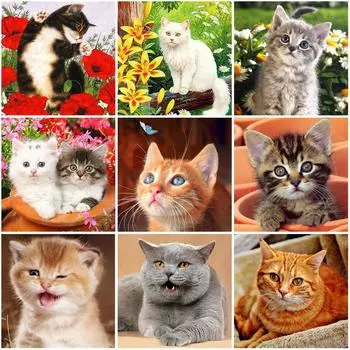 Цветок DIY 5D алмазная живопись вышивка крестиком кошка животное Алмазная вышивка полная круглая смола стразы мозаика Рождественский декор Full Round 20x20CM