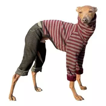 D DOGGY STAR Нерегулярная чесаная полосатая джинсовая ткань Маленький Средний Большой Зимняя одежда для бедлингтон-терьера Уиппета Одежда, комбинезоны, комбинезоны, собаки, собаки, тёмно-синий