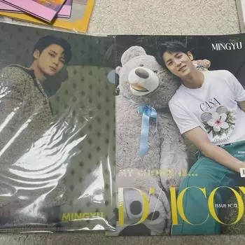 D-icon Семнадцать Мингю