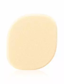d program foundation sponge liquid (d program)