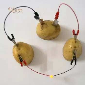 DAG DIY Картофель Фрукты Батарея БиоЭнергия Свет Диодные Часы Набор Экспериментальная Игрушка