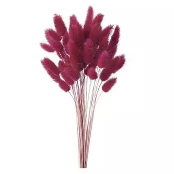 Daichi Farm Сушеные цветы Lagrass Вино красное (15g) ДО42050-470 вино красного