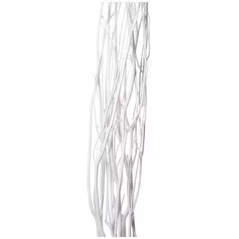 Сухоцветы Daichi Farm Mikata Shiro 5 шт. Приблизительно. Д100.0см DO052371-011 белый