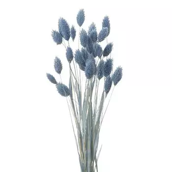 Daichi Farm Pore Plants Water Blue 40cmL Dried Flower Approx. DO042020-691