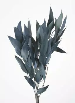 Daichi Farm Сухоцветы Сине-зеленые 45 см Ива Эвкалипт 35 г Прибл.. ДО16100-760