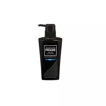 Daiichi Sankyo Healthcare Kaloyan Progress Лечебный шампунь для кожи головы ЖИРНЫЙ 300 мл [квази-лекарство]