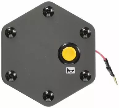 Daikei PLATE HORN BUTTON plate horn MOMO Momo type gunmetal yellow (steering button) & PHB-06