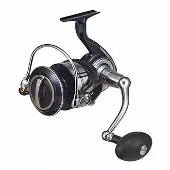 Daiwa 14000-XH 21 Celtate SW