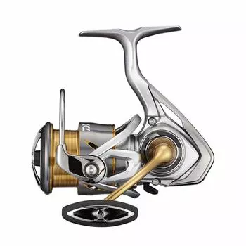 DAIWA 21 Freems LT2500