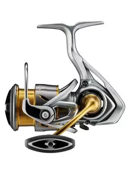 DAIWA 21 Freems LT2500-XH