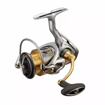 DAIWA 21 Freems LT2500-XH