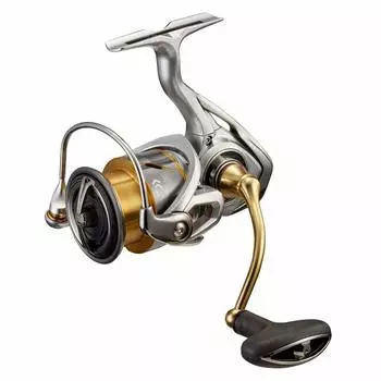 DAIWA 21 Freems LT3000-XH