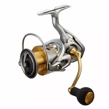 DAIWA 21 Freems LT4000-C