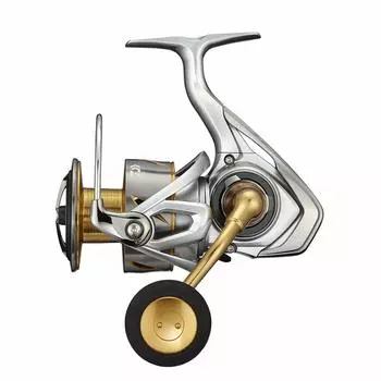 DAIWA 21 Freems LT6000D-H