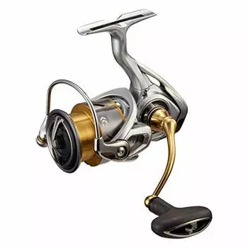 Daiwa 21 Фримс LT3000