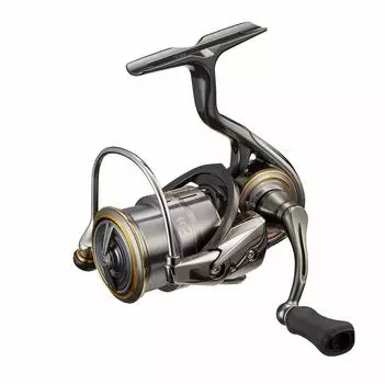 DAIWA 21 Rubias Airity FC LT1000S-P