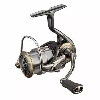 DAIWA 21 Rubias Airity FC LT2000S-H